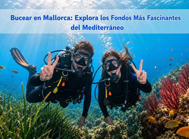 Bucear en Mallorca