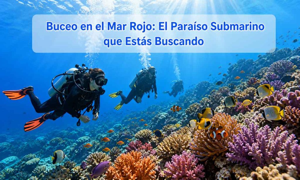 Buceo en el mar rojo