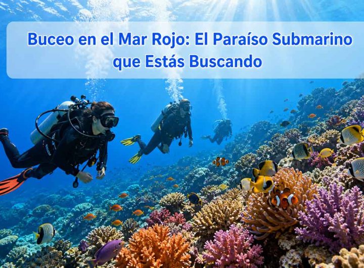 Buceo en el mar rojo