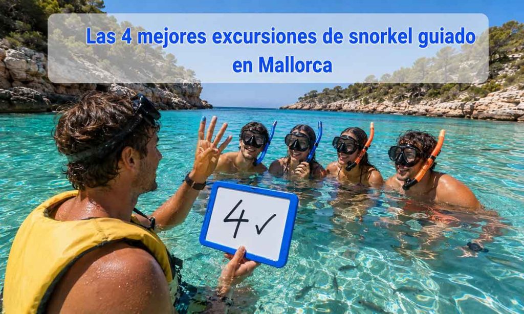 Las 4 mejores excursiones de snorkel guiado en Mallorca