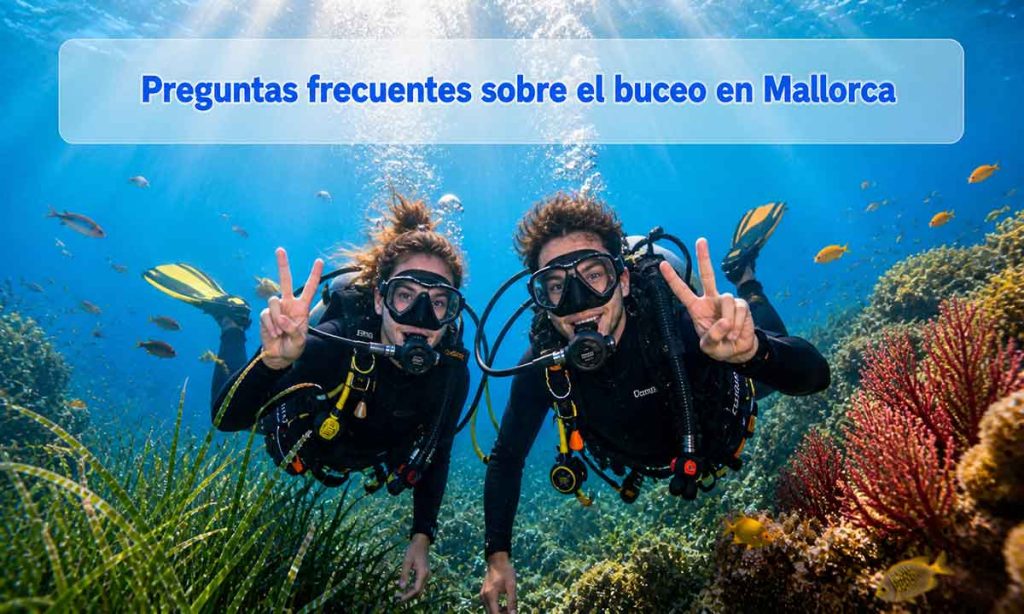 Preguntas frecuentes sobre el buceo en Mallorca