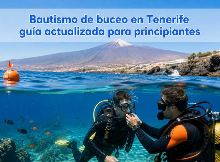 bautismo de buceo en tenerife