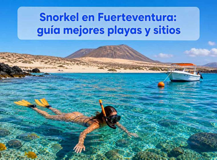 snorkel en fuerteventura